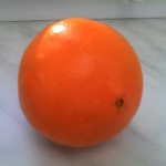 Citrus Sinensis Navelina owoc