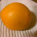 Pomarańcza Navelina - owoc