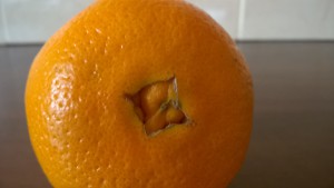 pomarańcza z pempkiem navel